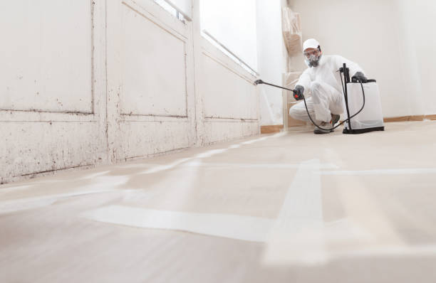 24/7 Emergency Mold Removal experts in Rockwood, MI